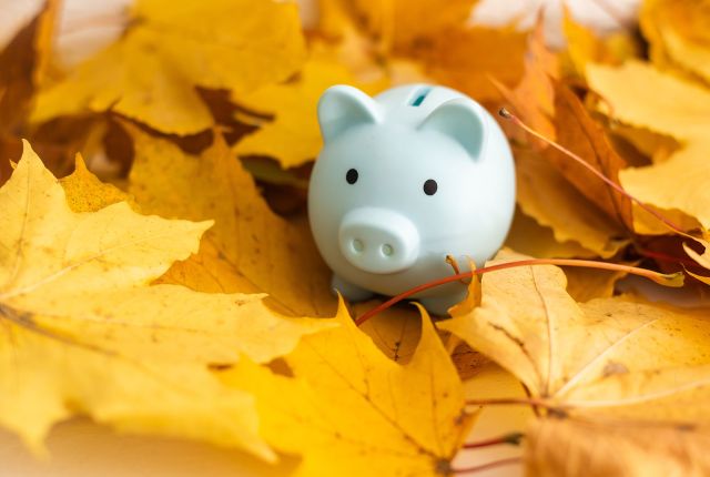 Autumn Budget 2024 8B83E6Cd