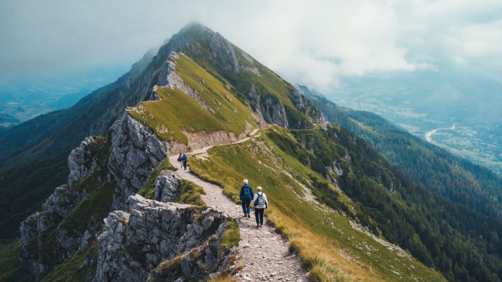 How To Safeguard Your Health Welfare Property And Finances A4Ffb96C